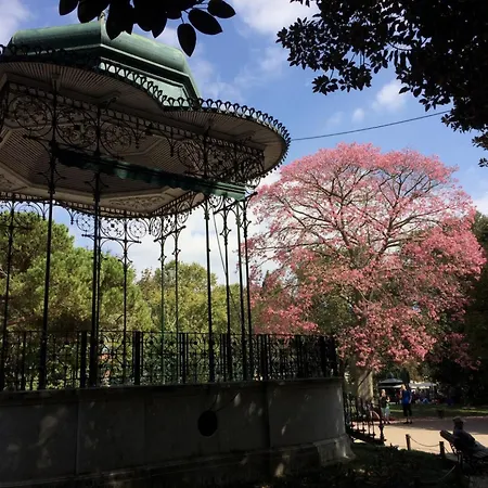 Estrela Panoramic Views By Homing * Lisbona