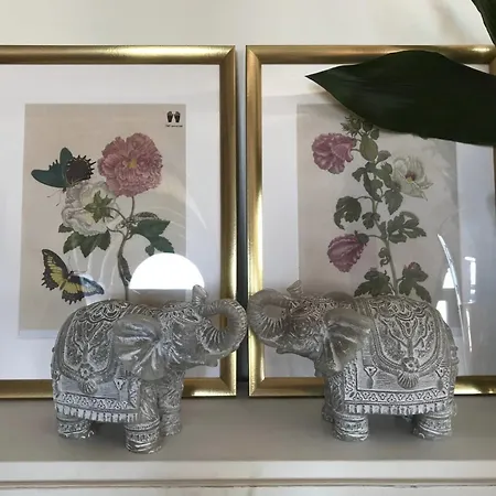 Estrela Panoramic Views By Homing Apartment *